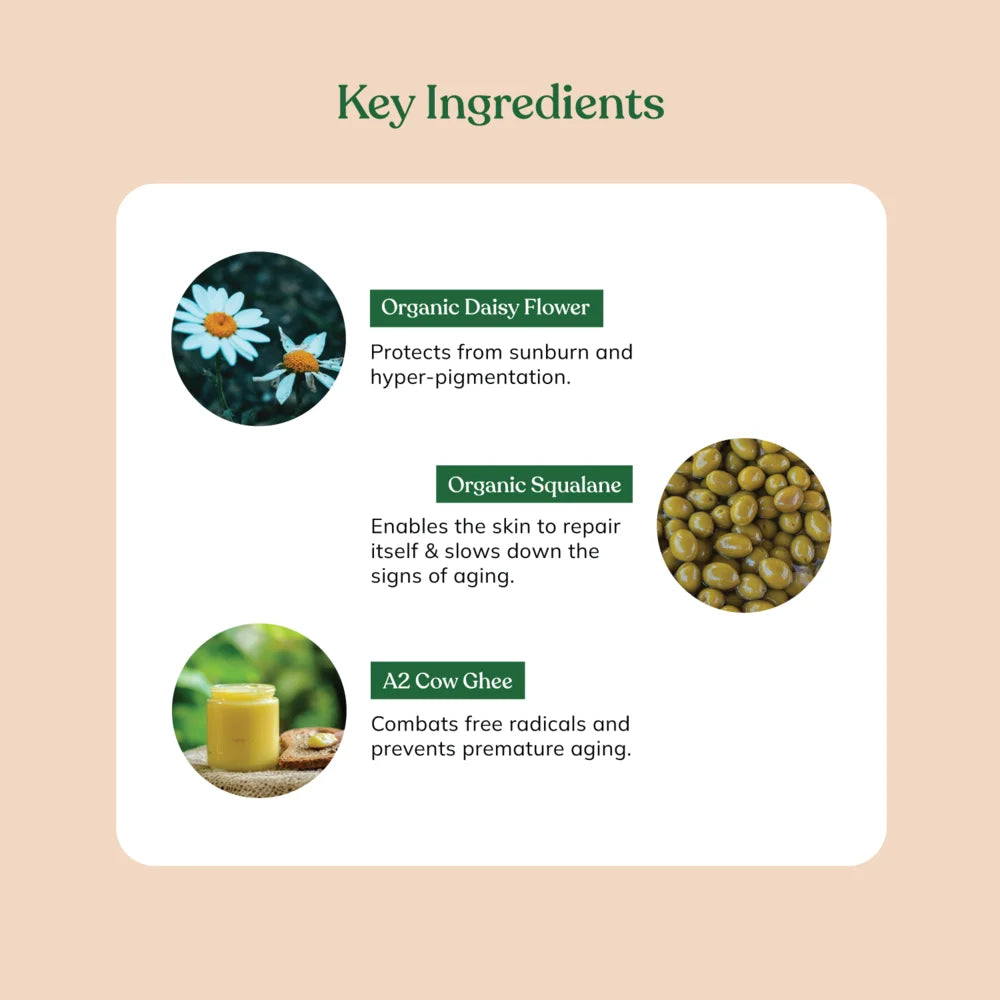 Night Cream with Organic Daisy & Squalane