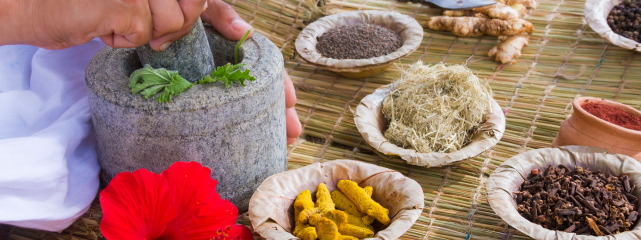 Ancestral Love Towards Nature | Reju Ayur